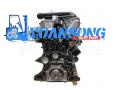 1DZ-Ⅲ Engine assy Toyota 