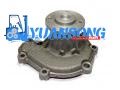 SE02-15-100 YALE HA Water Pump 